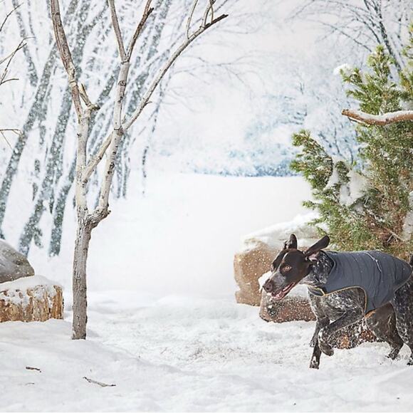 COPY - NWT Arcadia Trail Ultra Reflective Dog Jacket - Grey - XXL - Picture 4 of 13